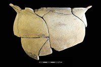 陶罐藏品圖，第1張